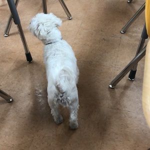 Meet your Posher, Coody